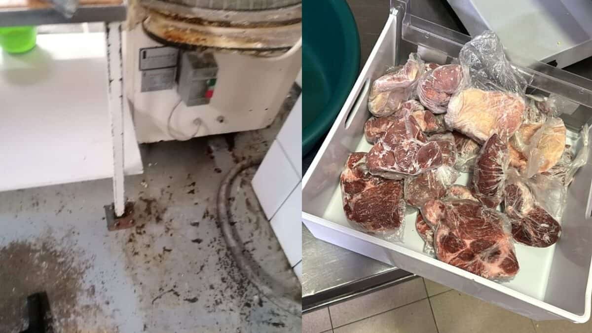 controale anpc în restaurante din 6 județe. gândaci care mișunau prin bucătării, ulei ars în friteuze și frigidere murdare