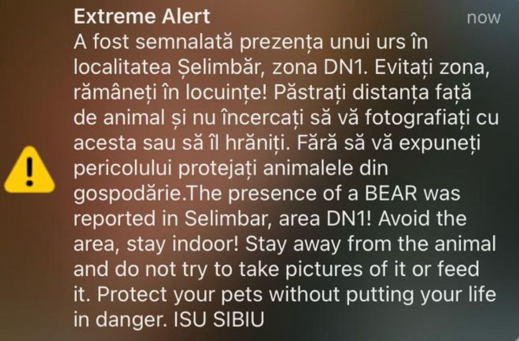 mesaj ro-alert: ursoaică cu pui văzută în șelimbăr